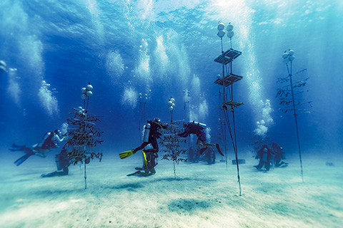 marine conservation center